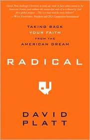 My initial thoughts after reading&nbsp;Radical