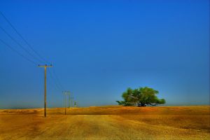 Bahrain's "Tree of Life"