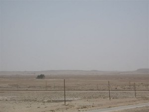 Bahrain's "Tree of Life"