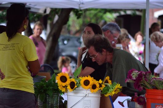 Homegrown_07_28_2011_001