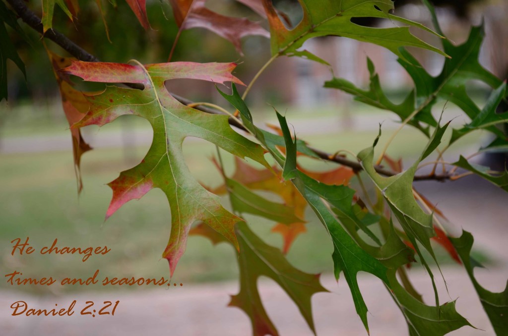 Daniel 2,21
