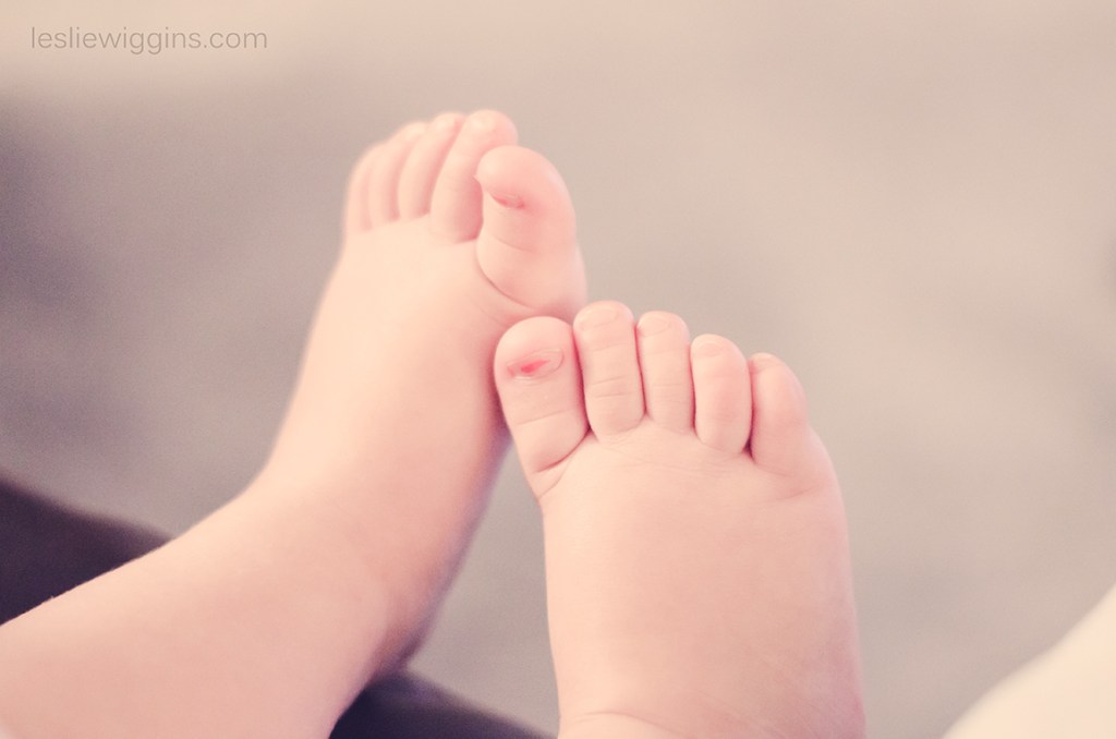 leslie wigginsphotography