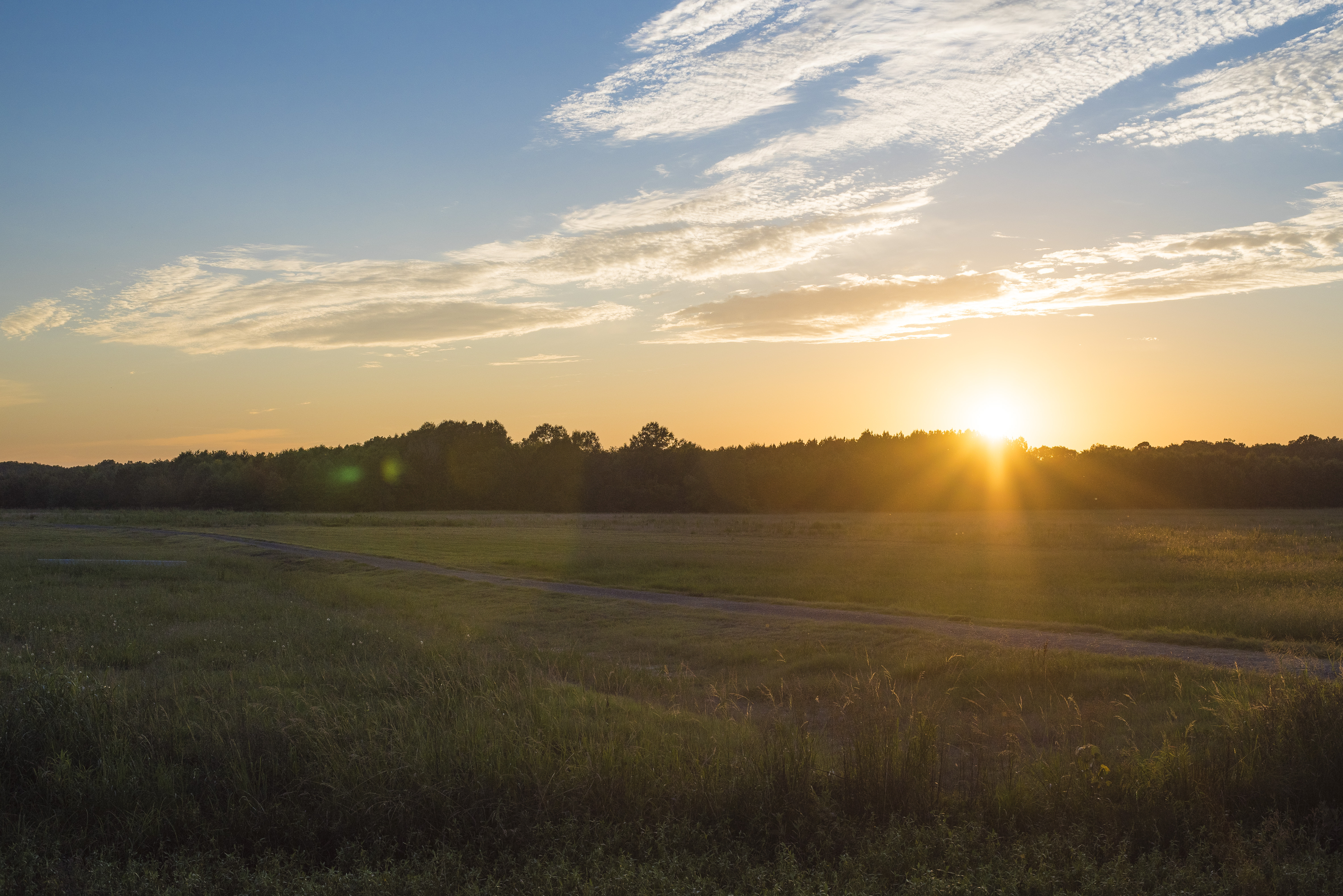 35439479330_221a9c6bb0_o